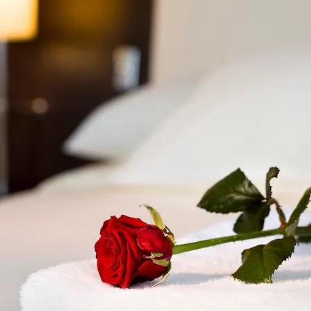 Mercure Centre 호텔 르망